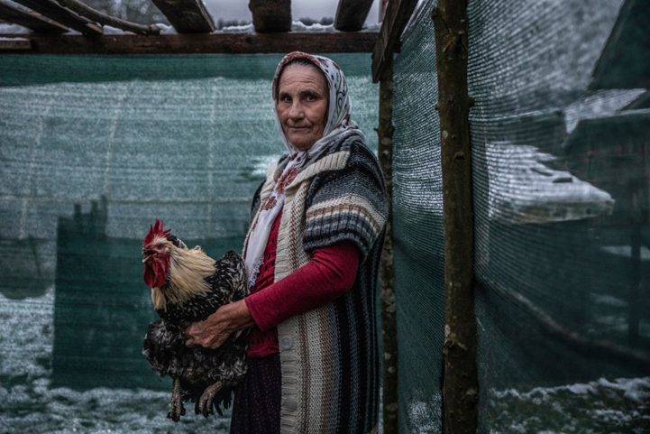 نظيرة ، إحدى الناجيات من سريبرينيتسا ، في منزل دجاج خلف شقتها في مخيم جيزيفاك للاجئين/ الجارديان