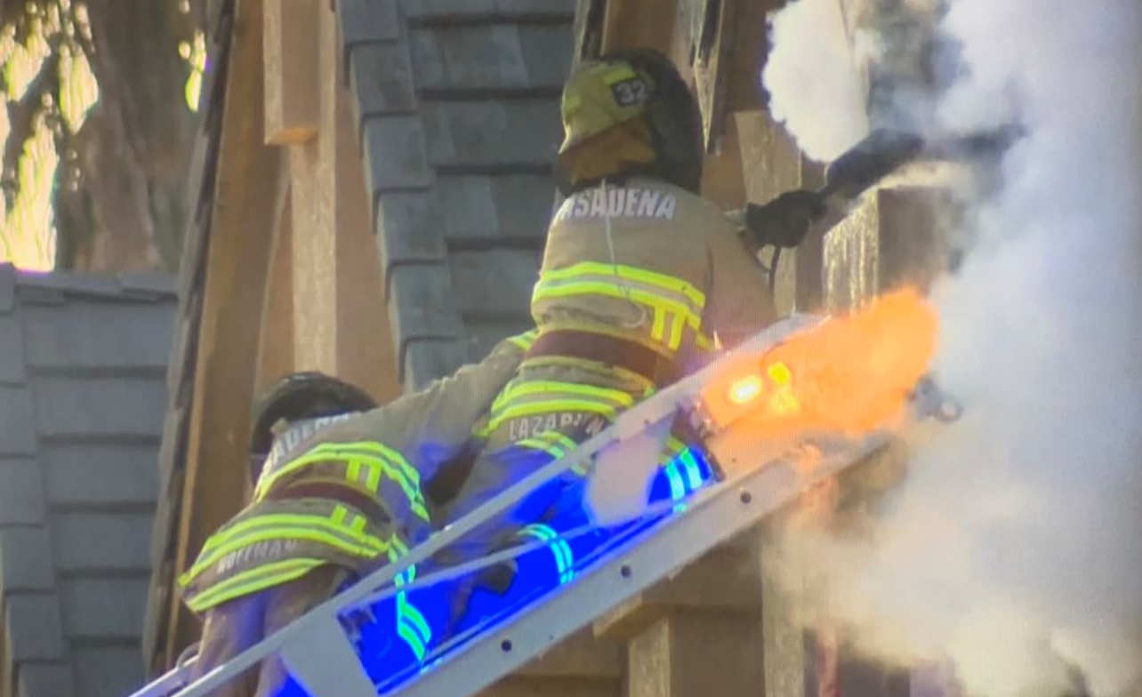 ملقب بـ “القاتل” لدفاعه الشرس عن خلاياه! إصابات في هجوم سربٍ من 40 ألف نحلة بكاليفورنيا