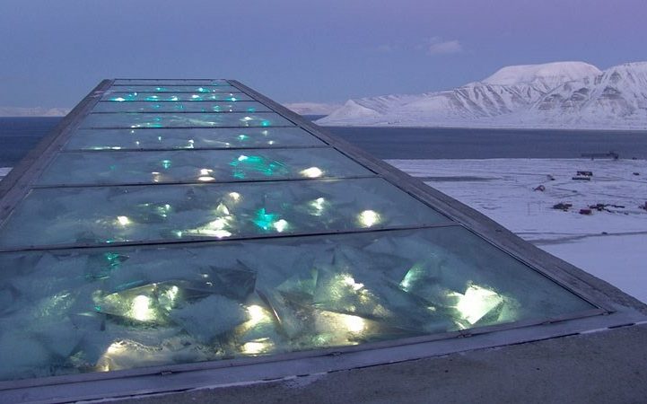  قبو جديد لحفظ النباتات في القطب الشمالي/ الجارديان البريطانية 