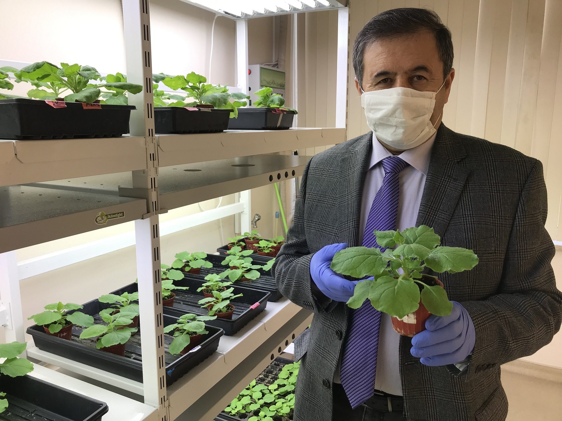 علماء أتراك يطمحون لإنتاج لقاح مضاد لكورونا من خلال نبتة.. سيكون جاهزاً بعد 6 أشهر