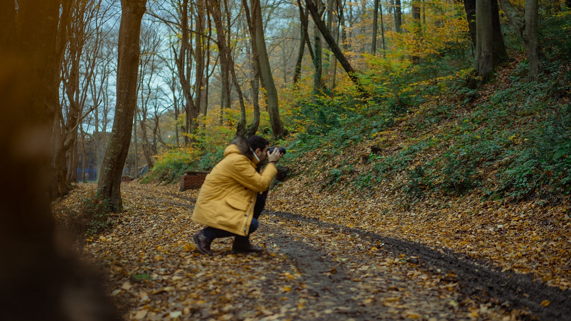 أكثر عناكب العالم تنوعاً في الألوان! مصور تتبّعها ونشر صورة خلابة لها ﻿