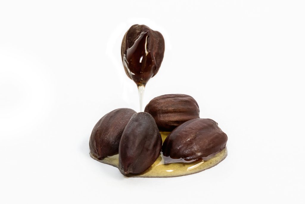 زيت الجوجوبا