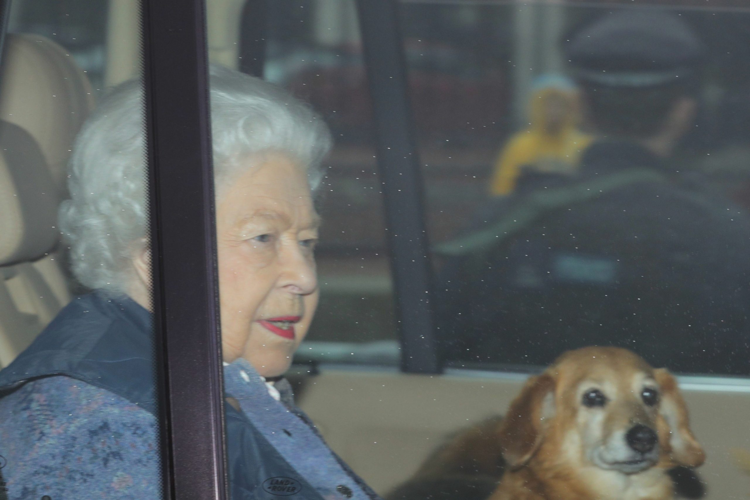 الملكة إليزابيث تهرب من لندن بصحبة كلبيها بسبب فيروس كورونا