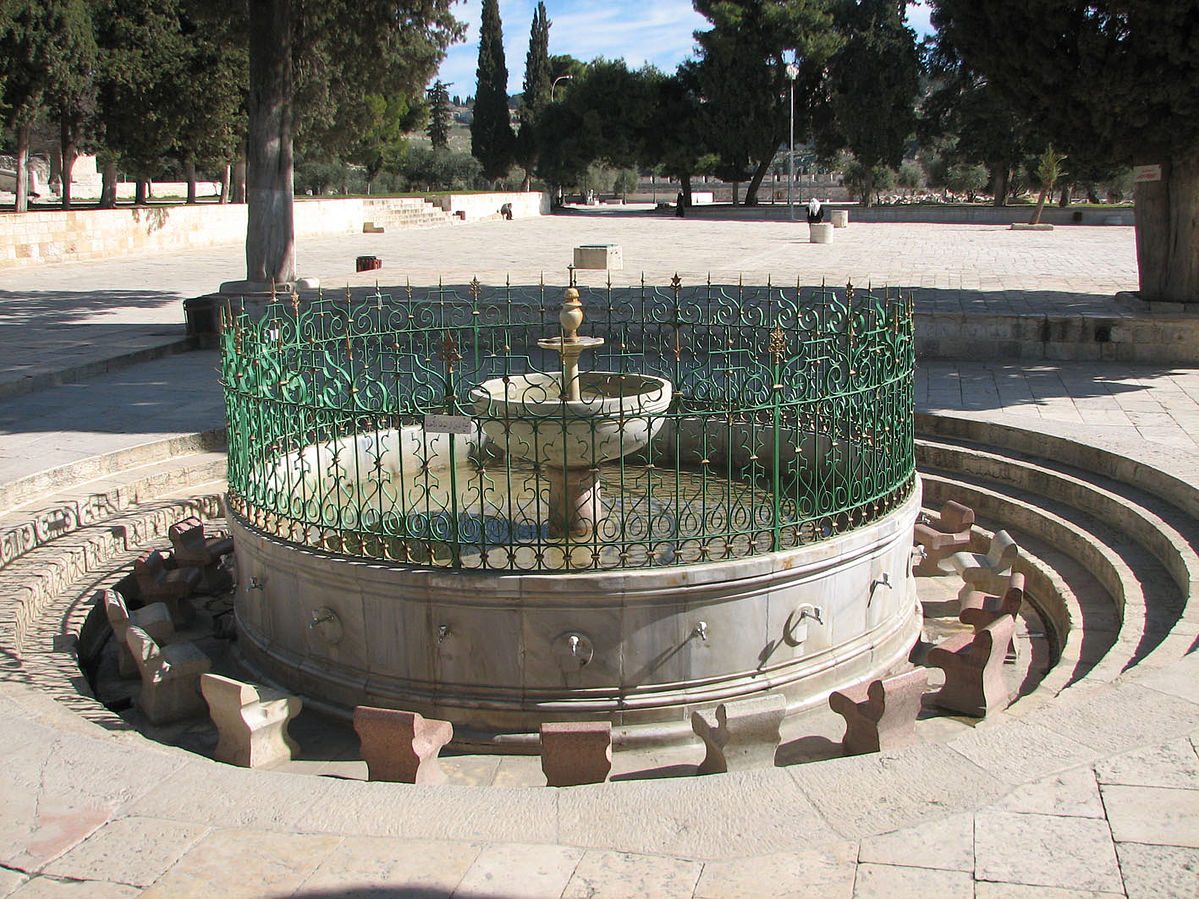 “من الكولونيا العثمانية إلى الشطافة”.. دعوات بالغرب لاستخدام ممارسات النظافة الإسلامية لمكافحة كورونا