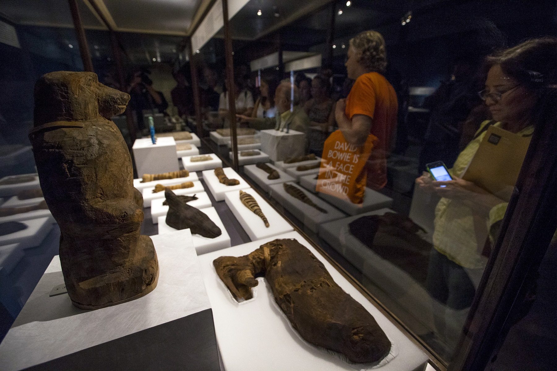 مصر تشهد أحد “أغرب اكتشافات العالم القديم”.. أشعة مقطعية لحيوانات محنطة تصيب العلماء بالدهشة