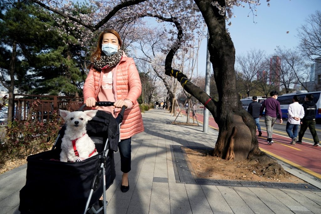 حملة الانتخابات بدأت رسمياً الخميس وتستمر أسبوعين