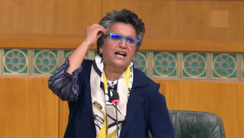 فيديو لمذيعة كويتية وتصريحات للنائبة صفاء الهاشم عن الوافدين تثير غضباً