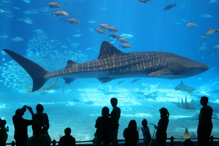   National Aquarium 