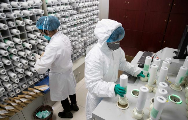 لمواجهة مشاكل الإجهاض والتشوهات والعقم.. علماء يشكّلون تكتلات خلايا بشرية تشبه الأجنة