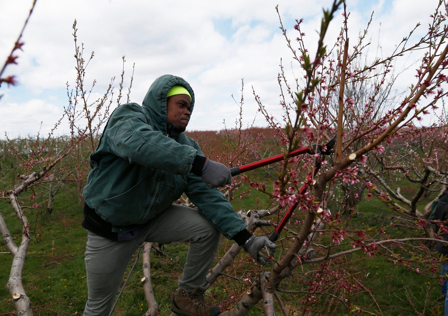 تشمل 200 ألف مهاجر غير نظامي.. إيطاليا تعرض تصاريح عمل زراعي بسبب كورونا