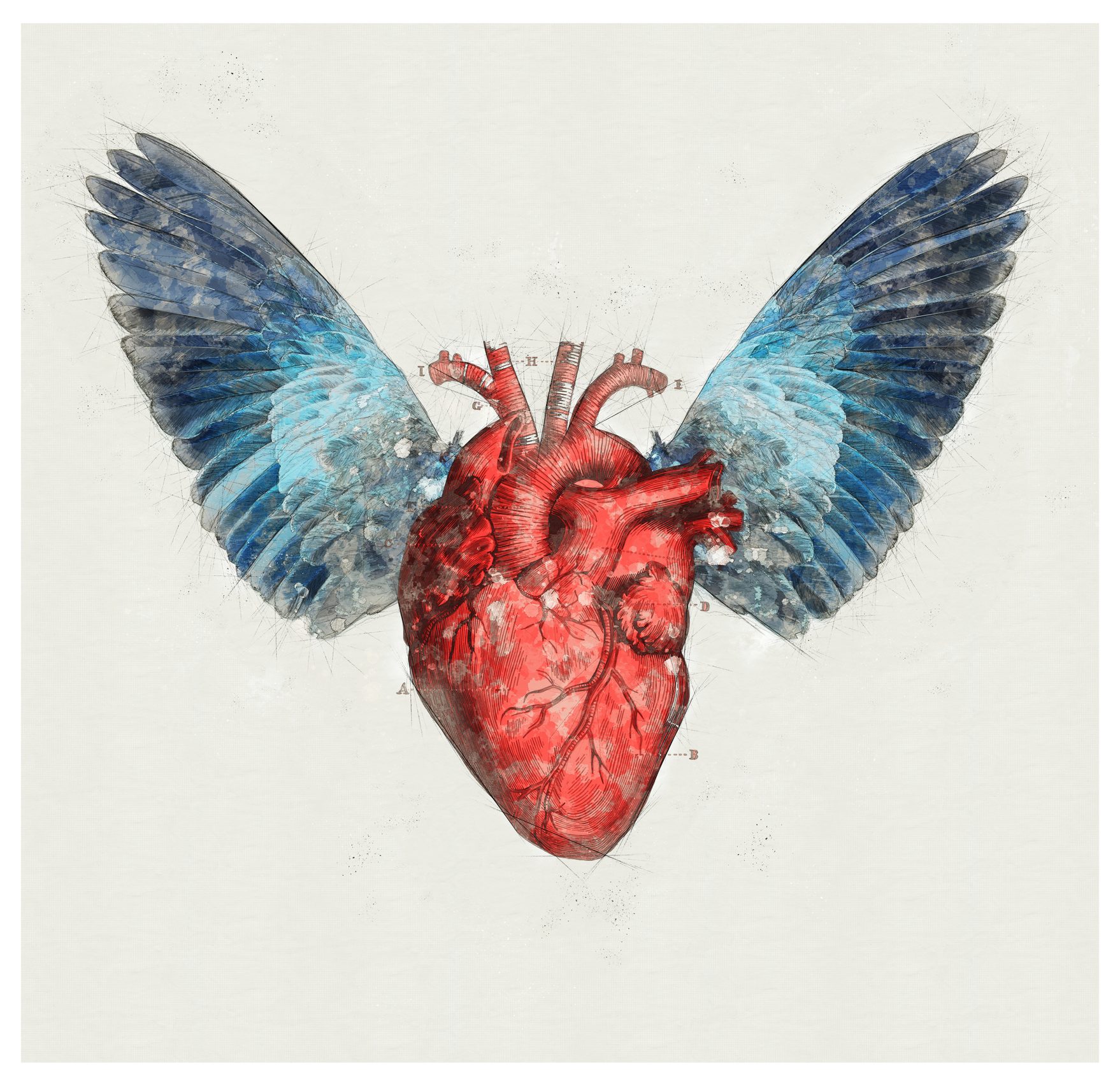 كيف يساعدنا تأمُّل الموت على الحياة؟