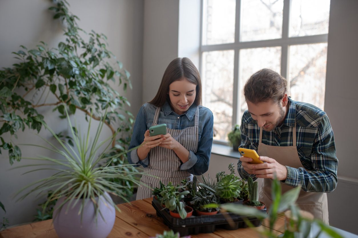 تطبيقات تساعدك على الزراعة في المنزل.. ما عليك سوى التقاط صورة لنباتك وستعرف كل شيء عنه