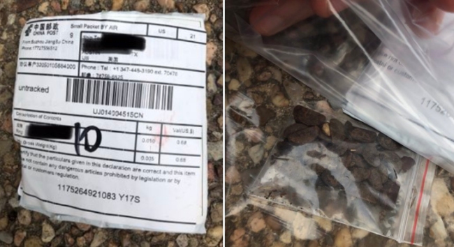 بذور مزيفة أم إرهاب بيولوجي؟ تحقيقات حول طرود تحوي بذوراً غامضة وصلت لآلاف الأشخاص حول العالم