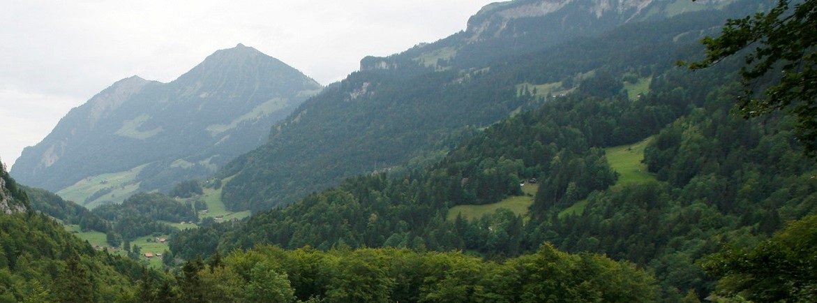 بناء أقبية فوق الجبال لتخزين الثروات! سويسرا تقدم عرضاً للأغنياء يبدأ من 500 ألف دولار للقبو الواحد