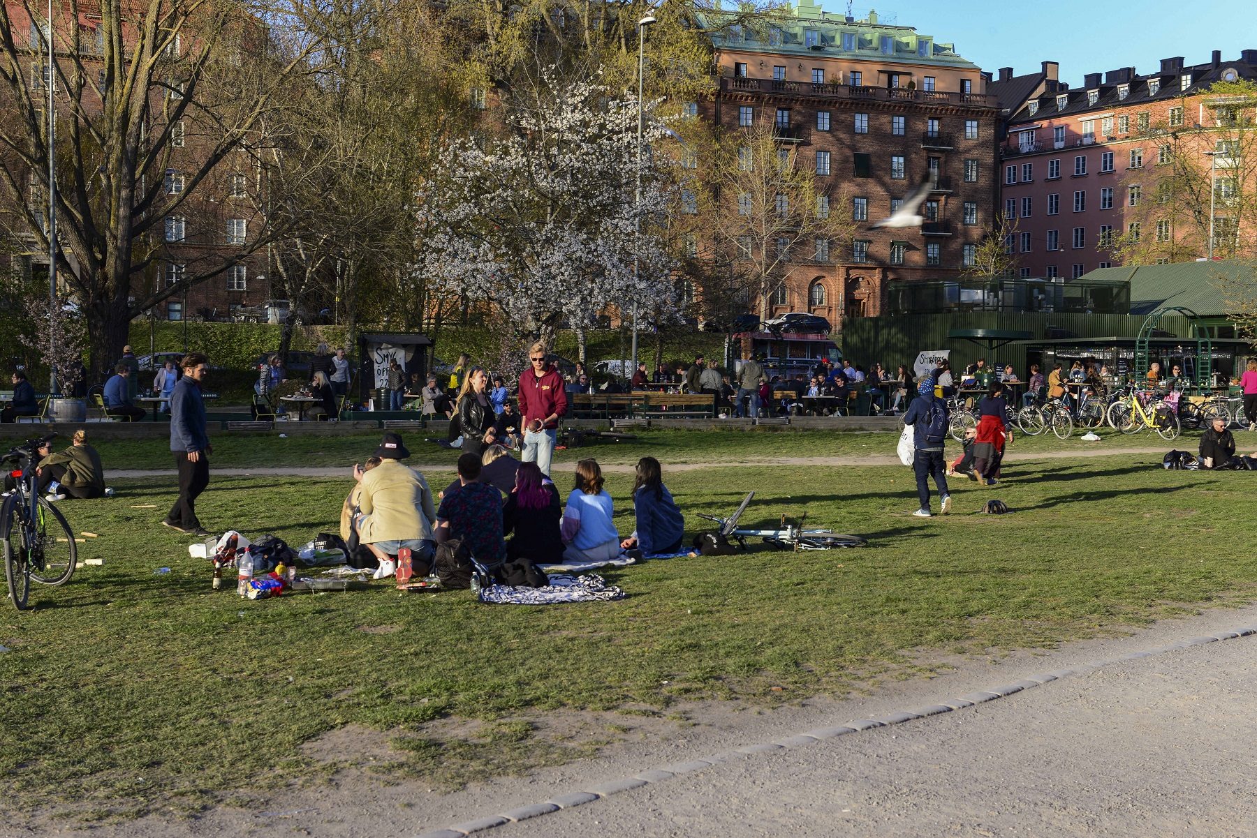 هل دفعت السويد ثمن استهتارها بكورونا؟ الأرقام تؤكد أن سياسة “رفض الإغلاق” كانت فاشلة