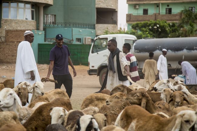 كيلو اللحم قد يصل إلى 400 جنيه.. حرب السودان تحدث خللاً بسوق المواشي واللحوم في مصر قبل عيد الأضحى