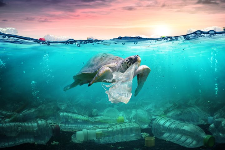 istock \ المحيطات