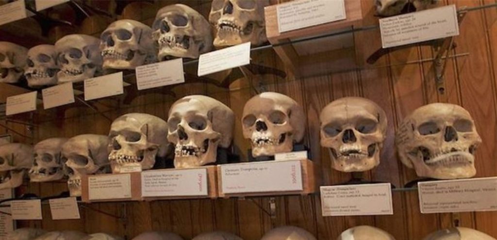 جماجم الشهداء في فرنسا الجزائر