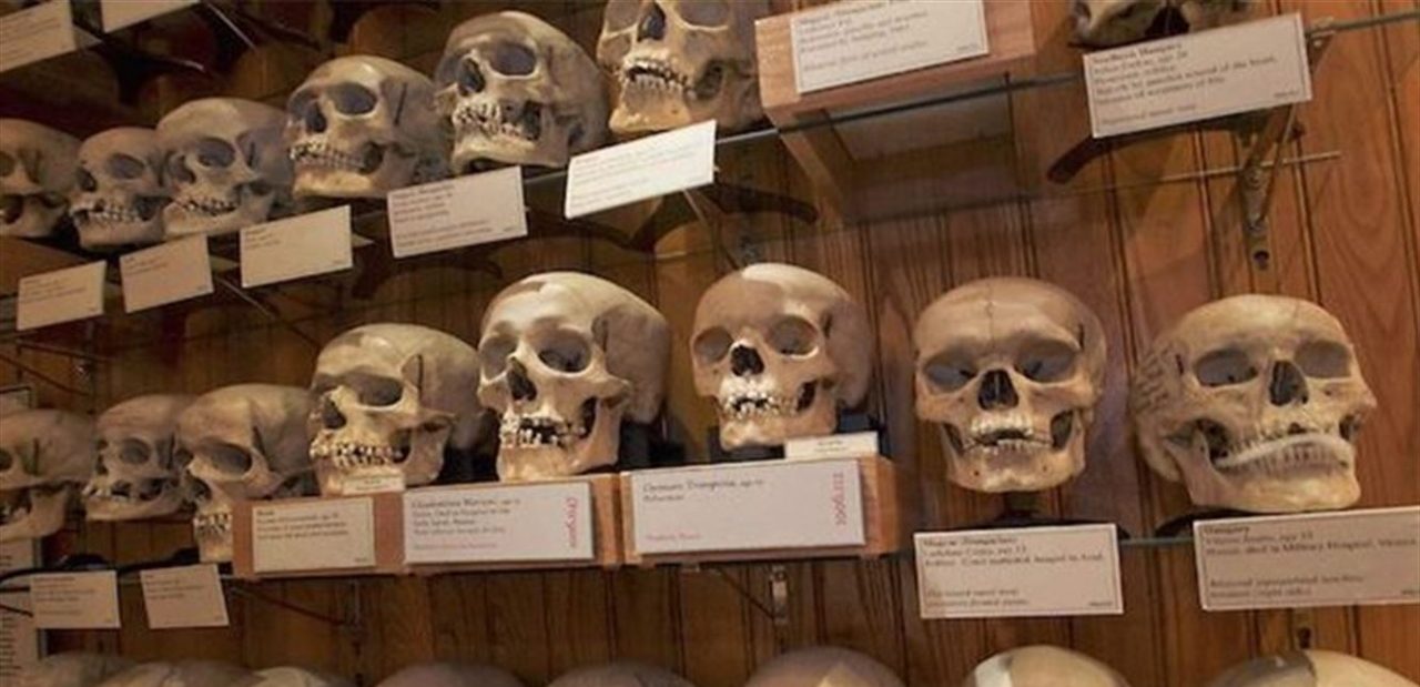 جماجم الشهداء في فرنسا الجزائر