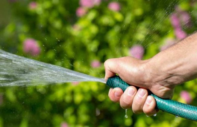 الحبس 6 أشهر وغرامة 20 ألف جنيه لرش المياه  أمام المنازل.. تفاصيل قانون الحفاظ على النيل بمصر بعد أزمة سد إثيوبيا