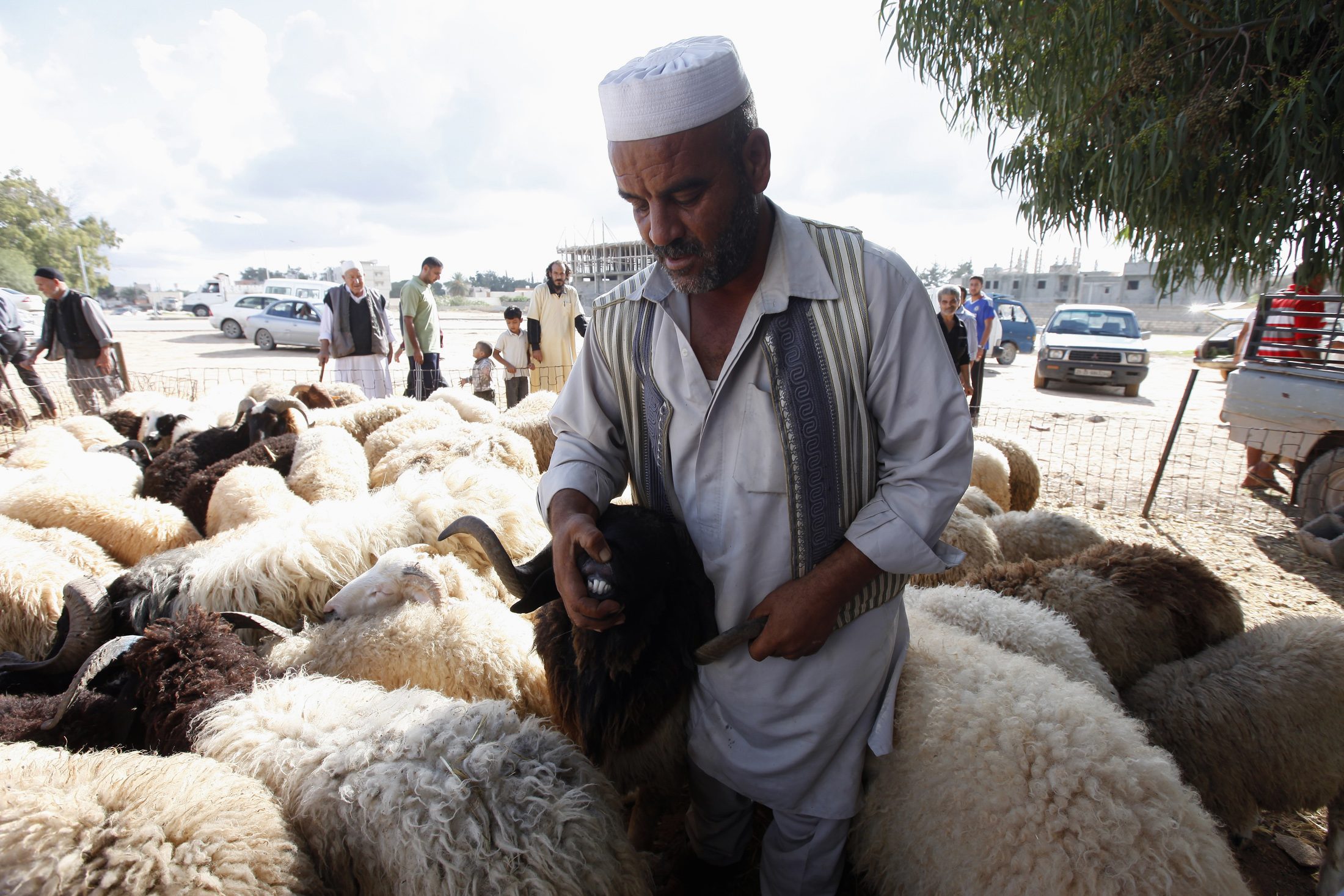 اللحوم فسدت والبهجة اختفت.. هكذا تغيّر عيد الأضحى في ليبيا بعد الحرب