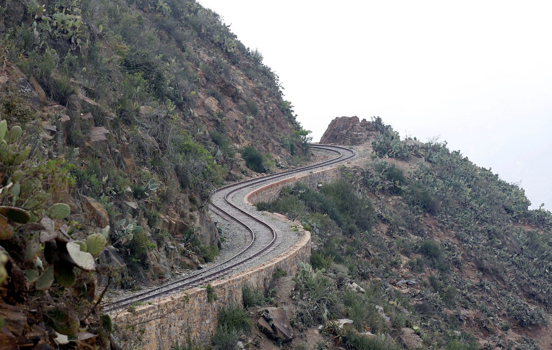 انشقت الأرض وابتلعتهما.. فيديو يحبس الأنفاس لسيدتين واجههما الموت على أحد الطرق