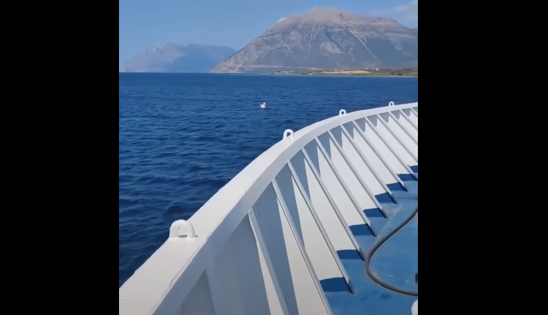 فيديو مؤثر لطفلة تائهة في عرض البحر والأمواج تحركها.. نجت بأعجوبة من سفينة وجدتها بالمياه