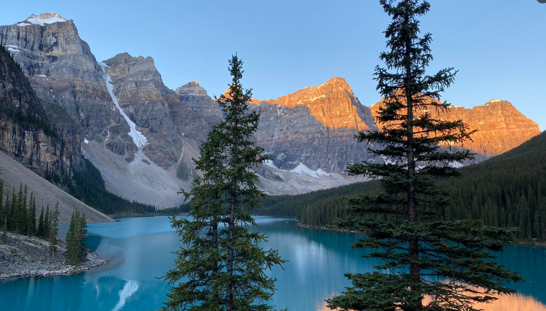 أوقف سيارته لمشاهدة مناظر طبيعية فتعرَّض لغرامة 569 ألف دولار! عقوبة قاسية تلحق بأمريكي