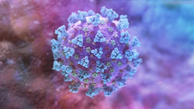 رغم أنها قاتلة ولا ترحم.. لماذا لا يمكن للبشر الاستغناء عن الفيروسات؟