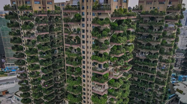 فشل مشروع “السكن الأخضر” في الصين بسبب الأشجار.. جلبت جيشاً من البعوض طرد مئات العائلات من بيوتهم (صور)