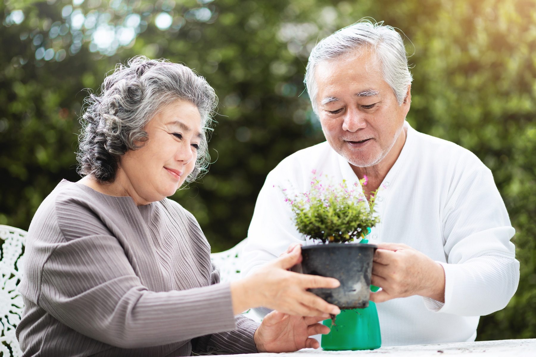 أكثر من 88% منهم نساء.. اليابان تسجل رقماً قياسياً جديداً في عدد المعمرين الذين تجاوزوا عامهم المئة