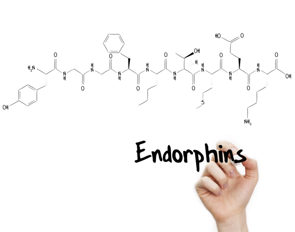 الإندروفين: (بالإنجليزية: Endorphin) (IStock)