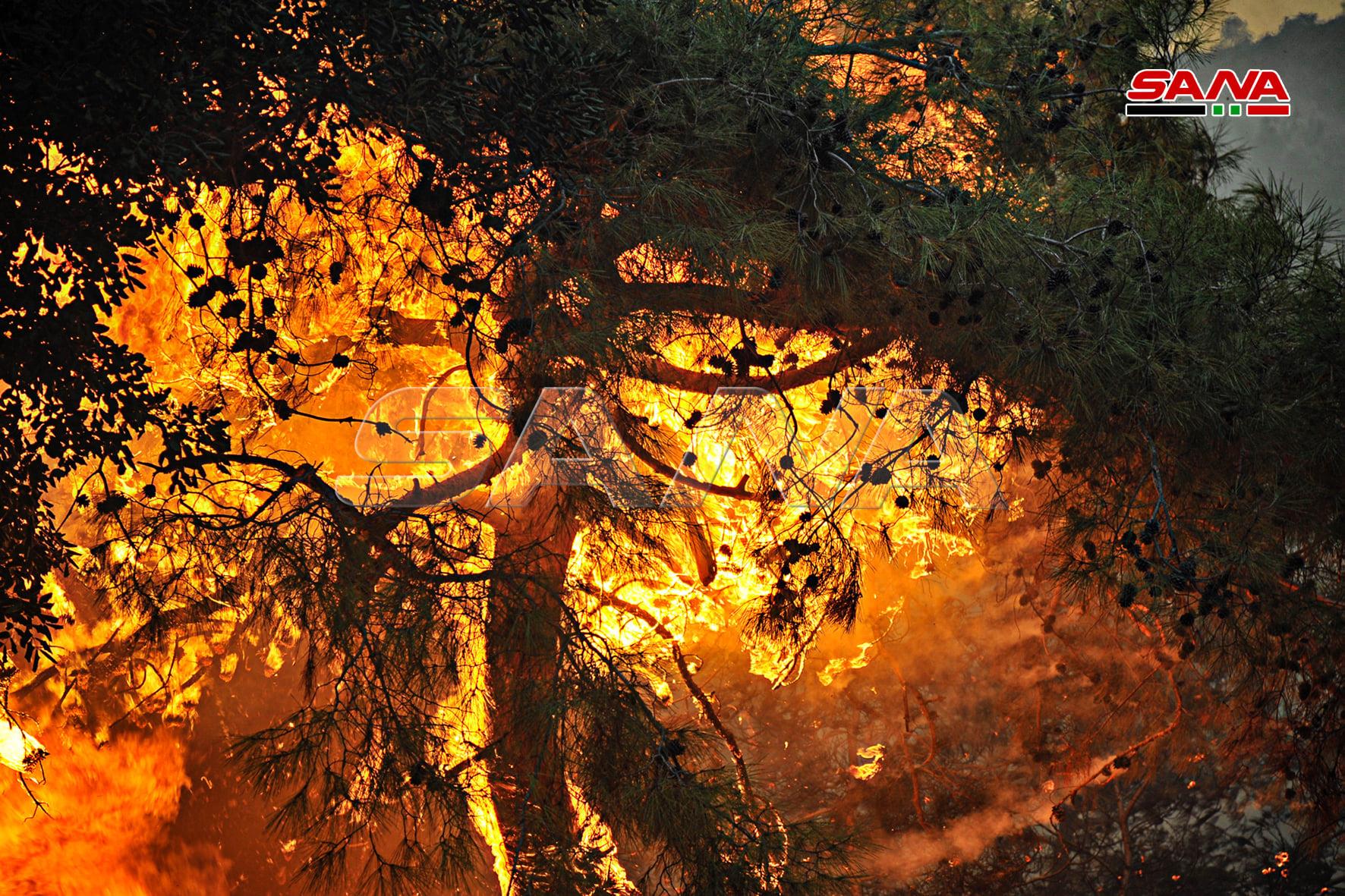 حرائق سوريا