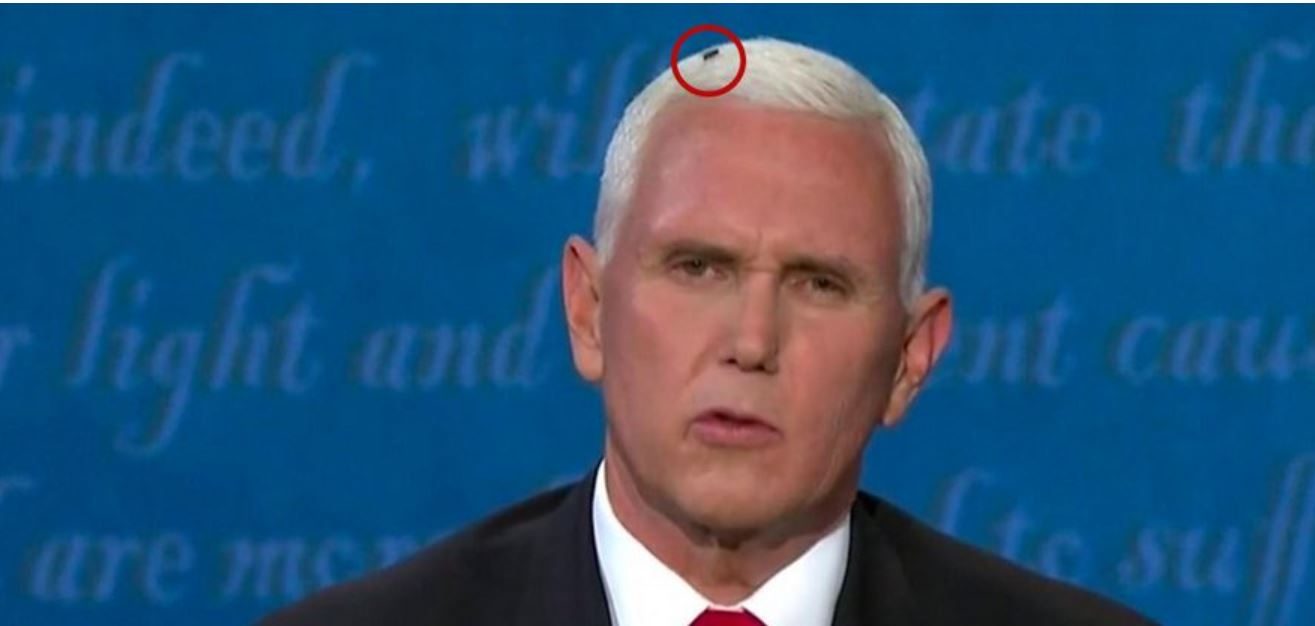 عكس مايك بنس.. باراك أوباما تعامل مع الذبابة أمام التلفزيون “بطريقة احترافية” (فيديو)