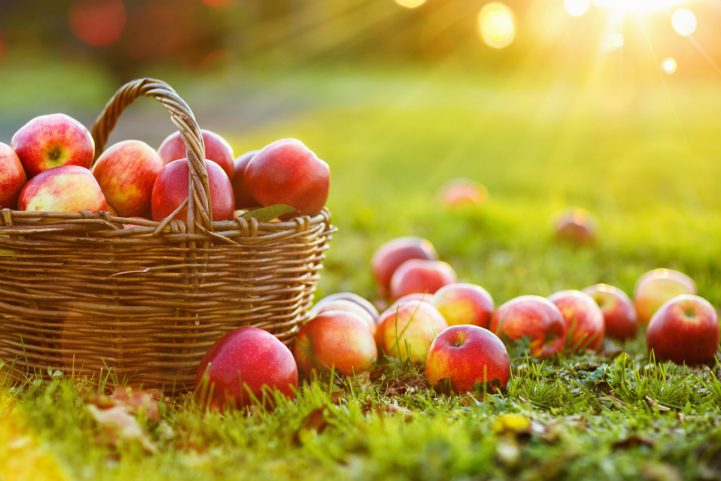 iStock\ فوائد التفاح