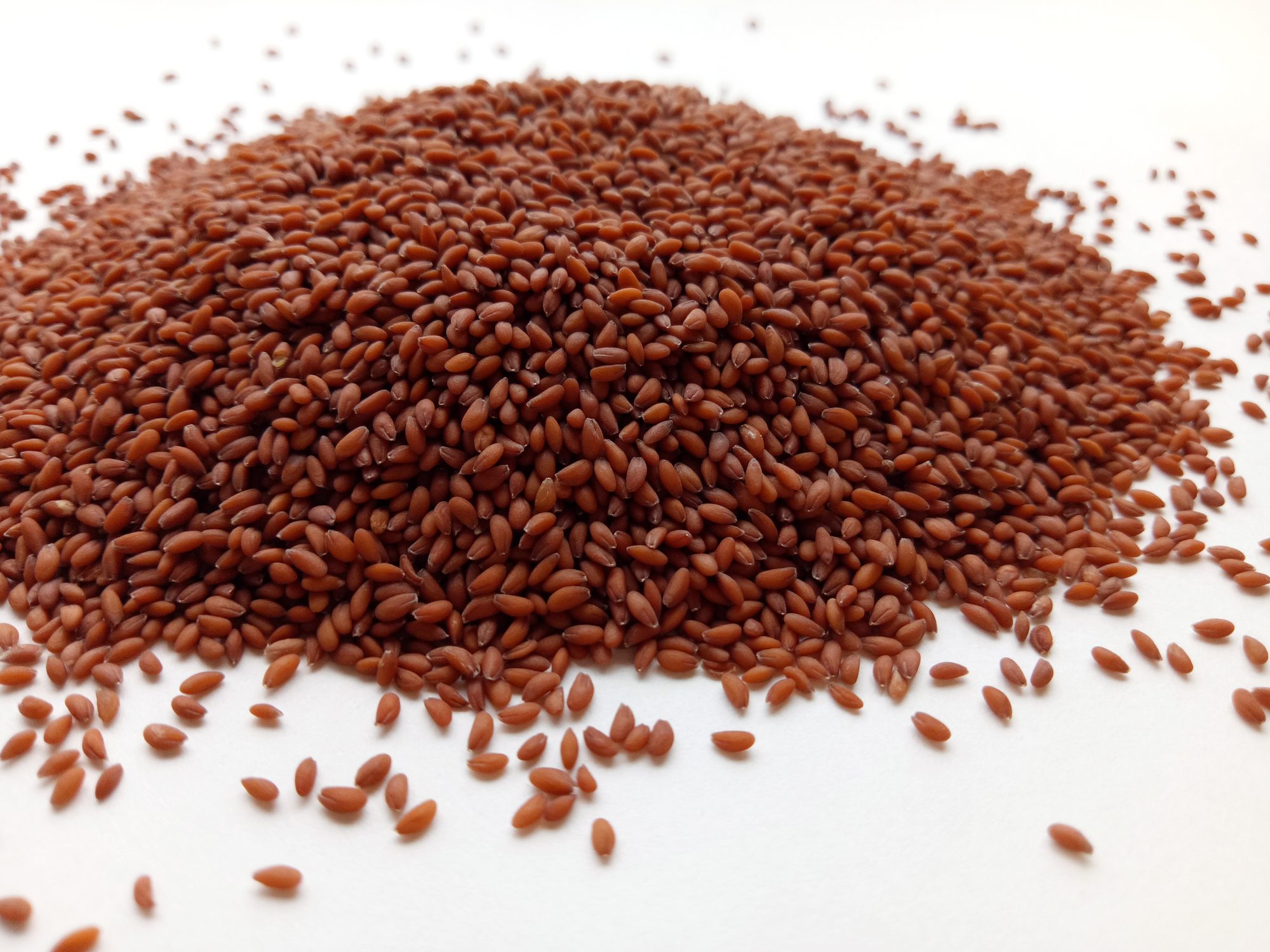 له فوائد متعددة لكن يجب استخدامه بحذر، ما عليك معرفته عن “حب الرشاد”