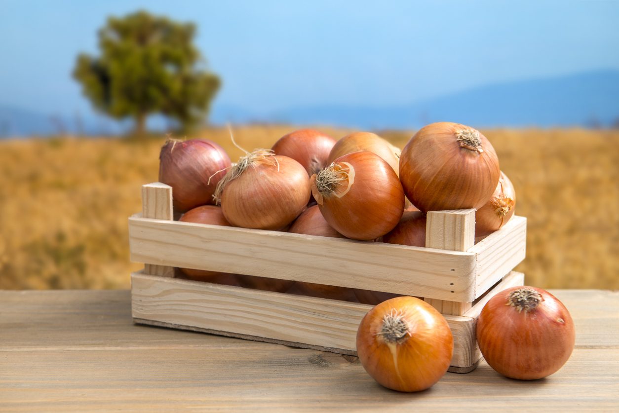 “مثير للغاية”: الذكاء الصناعي في فيسبوك يزيل صور البصل لظنها محتوى عارياً