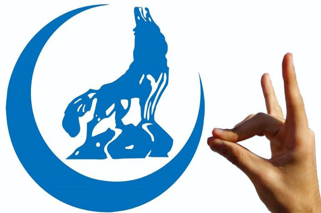 تويتر/ جماعة الذئاب الرمادية