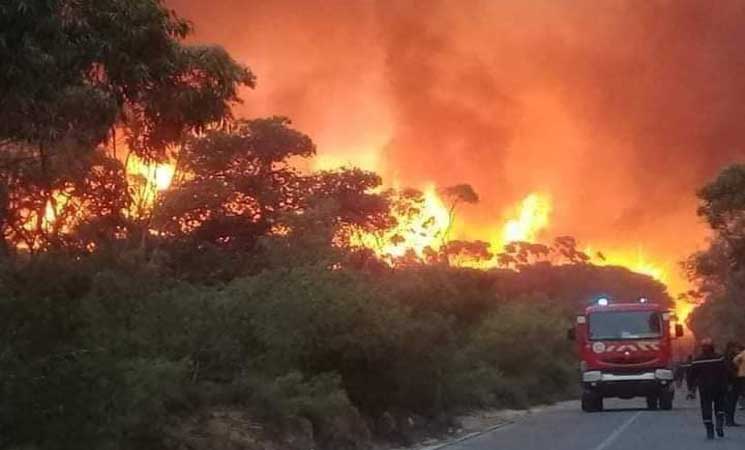 صورة من حرائق- أرشيف - مواقع التواصل