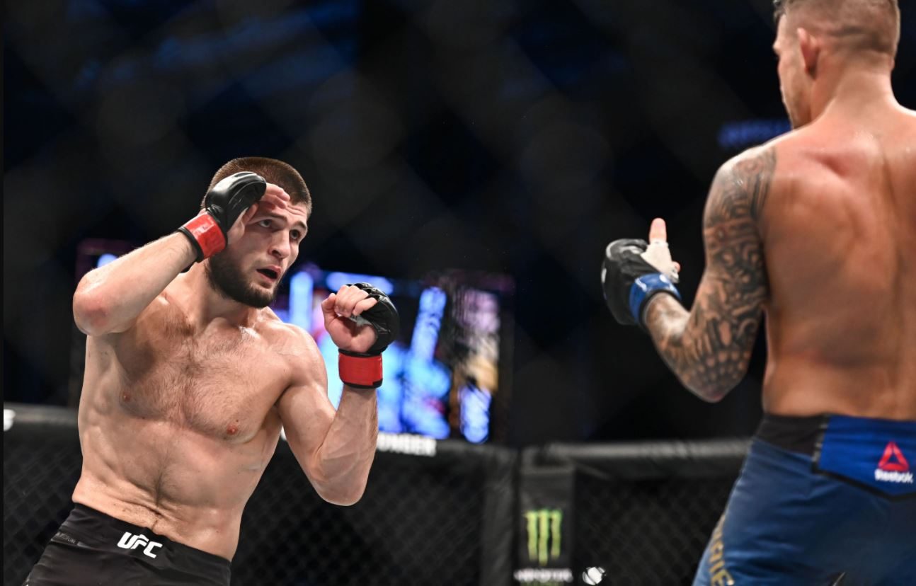 بطل فنون القتال الذي لم يُهزم طوال حياته.. حبيب محمدوف يكشف خطته بعد اعتزال الرياضة