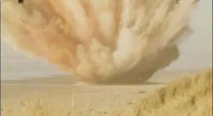 دهون جسمه تساقطت على الرؤوس أمريكيين! فيديو مُعدل لتفجير حوت بالديناميت قبل عقود