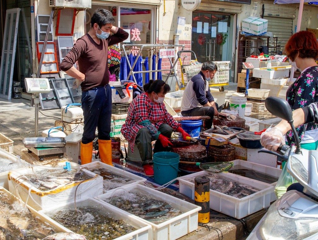 كورونا الصحة العالمية