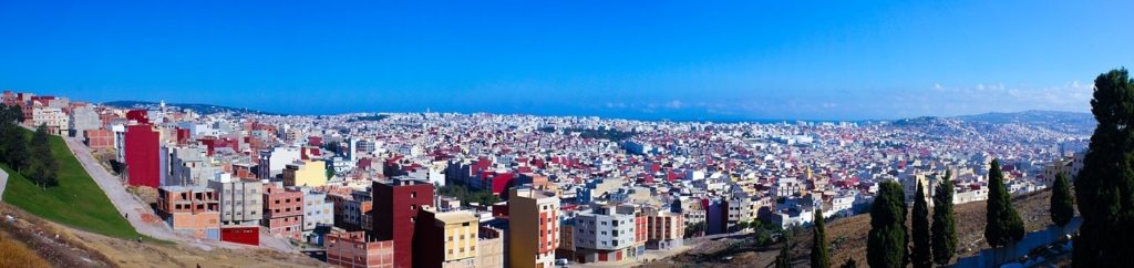 ابن بطوطة