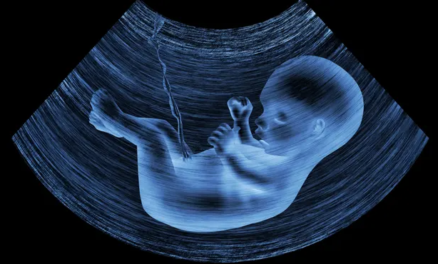 تهدد صحة الجنين وتؤخر نموه.. باحثون يكشفون عن جزيئات بلاستيكية في مشيمات الأجنة