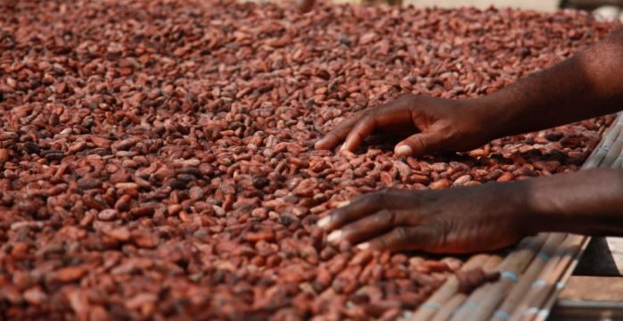 تقدَّر قيمتها بـ100 مليار دولار.. “حرب” القهوة والكاكاو تندلع بين دول إفريقية وشركات الشوكولاتة