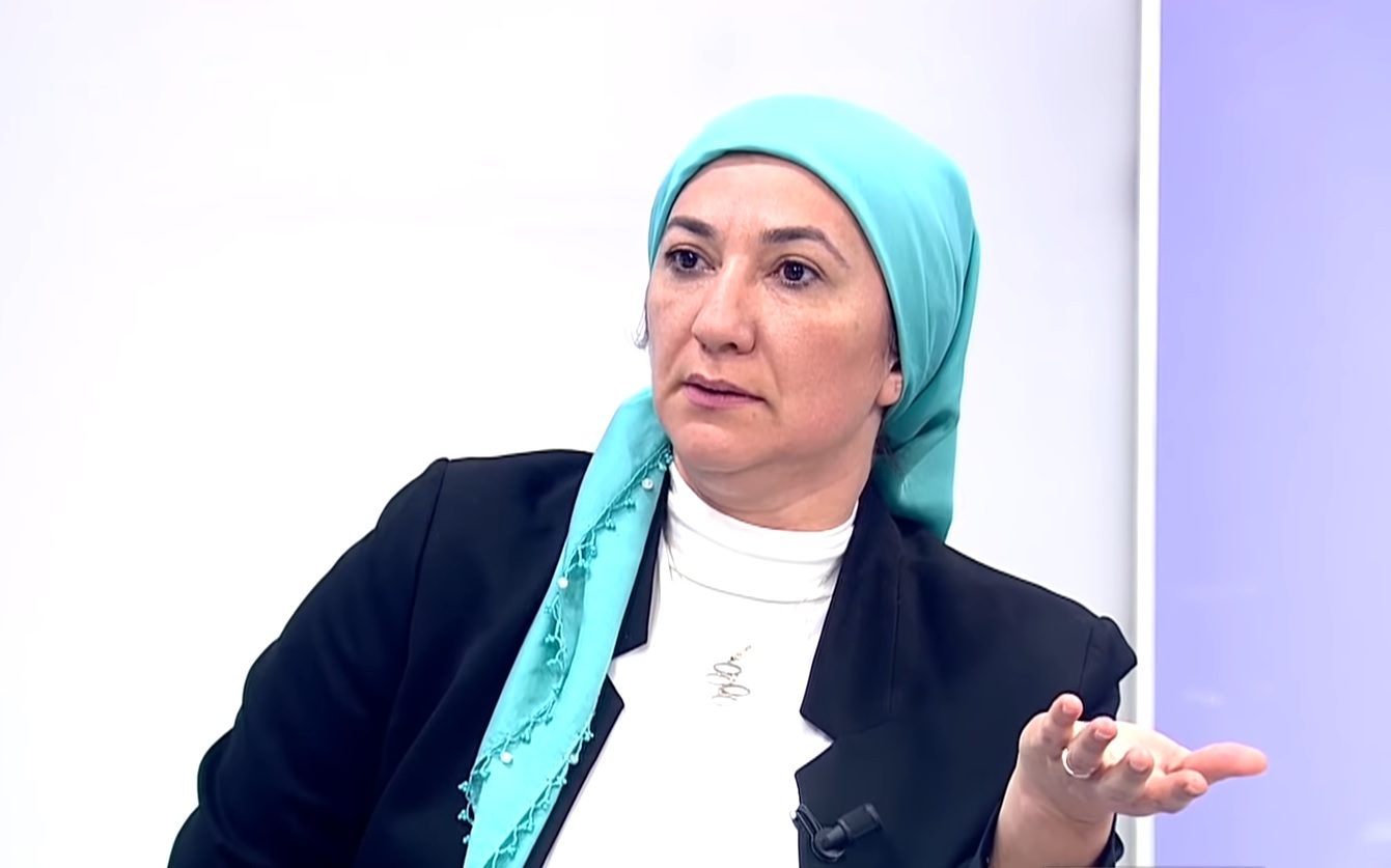 الناشطة السياسية غادة نجيب تعرضت مؤخرا لحملة هجوم من إعلام النظام