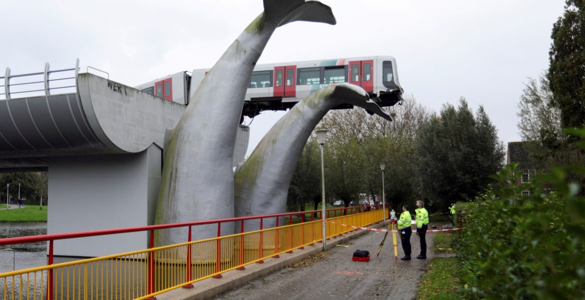 أخبار غريبة 2020