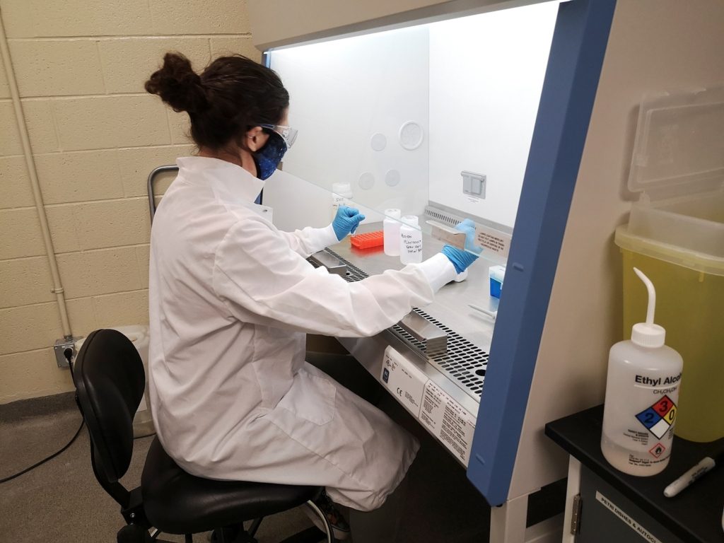 البروتينات ذكاء اصطناعي