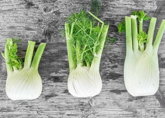 يساعد على خسارة الوزن ويقوِّي المناعة.. “الشمر” فوائده الصحية وطرق تناوله