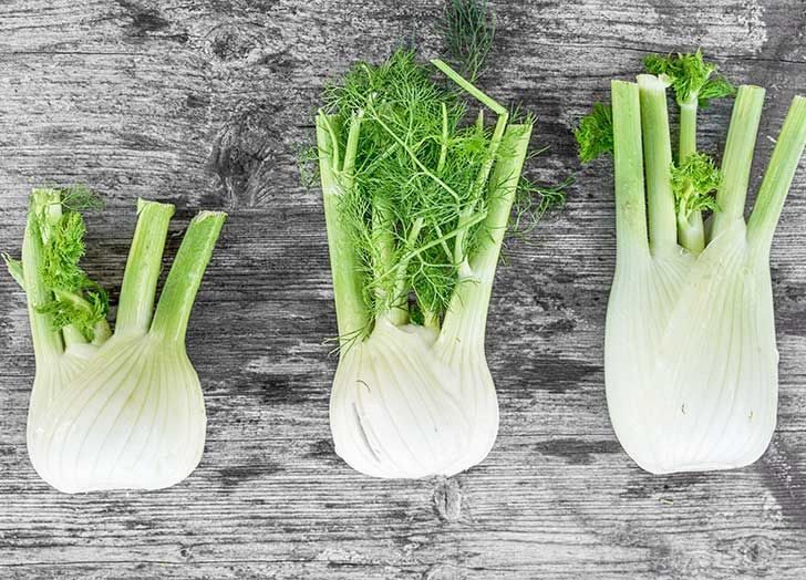 رويترز/ فوائد الشمر